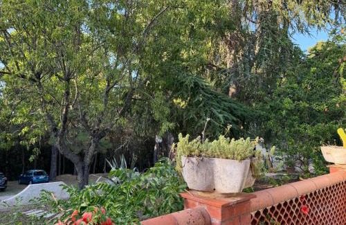 Peschici Appartement | Dimora nella Natura
