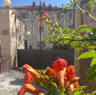 Ozzano Monferrato Lit Et Petit-Déjeuner | Dimora Storica La Corte Delle 4 Stagioni