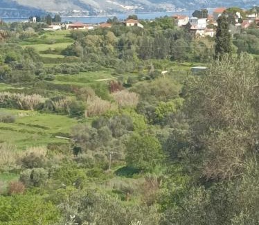 Agia Thekli Maison | Dina's House