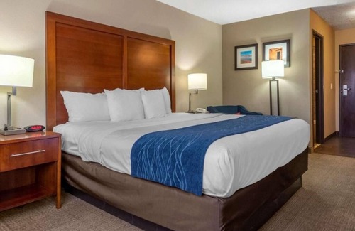 Albuquerque Hôtel | Discover Albuquerque from a Warm Hotel Room Base Near Airport
