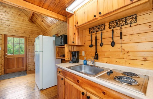 Rileyville Cabine | Discover Shenandoah River steps away! Cozy 2-bedroom Luray cabin.