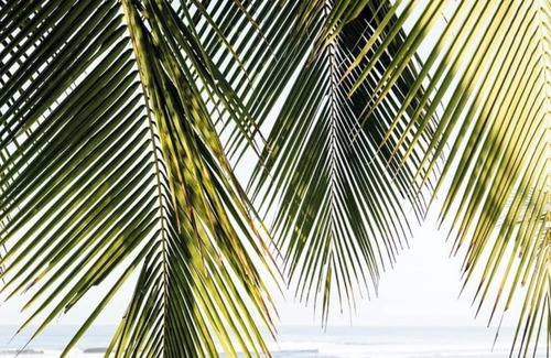 Parrita Station Balnéaire | Discover the serene beauty of a hotel on the beach in Costa Rica Playa Palo Seco