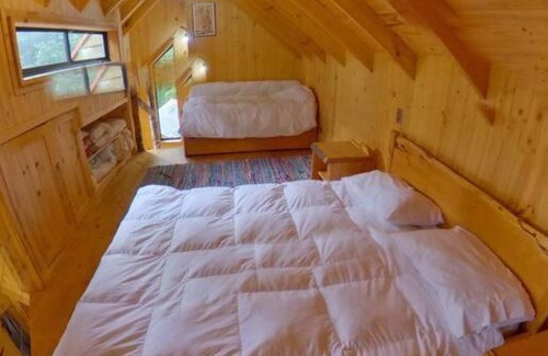 Los Rios Maison | Disfruta y vive el Bosque en Reserva Biológica
