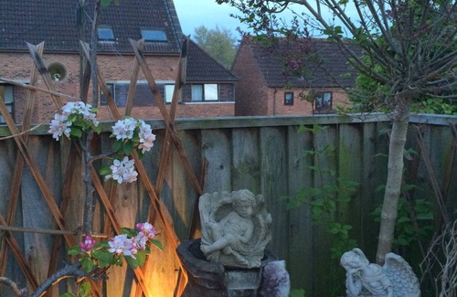 Glastonbury Appartement | Centre Lumière Divine Dans Glastonbury, Isle Of Avalon, pays du roi Arthur.