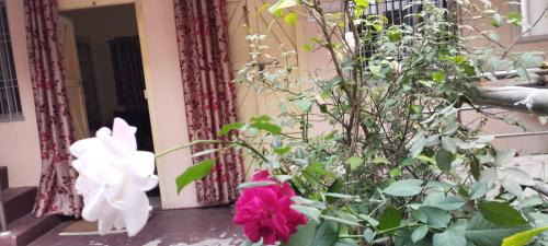 Puri Appartement | Divine view - 1 bhk AC - Swarna Bhavan
