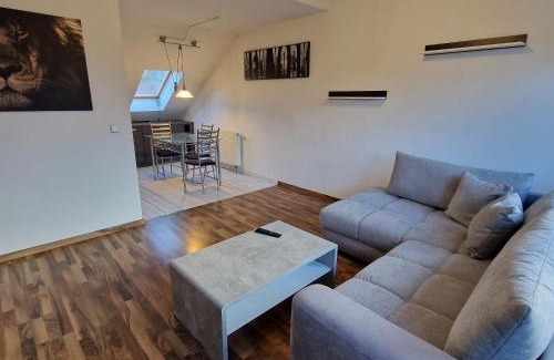 Dingelstaedt Appartement | DM Hotels & Apartments - Apartment Dosborn 5-9