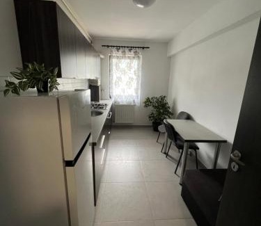 Sector 2 Appartement | Dobroesti Relax Apart