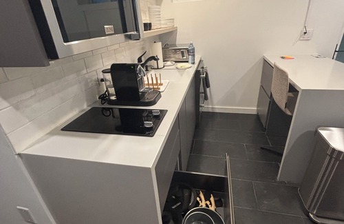 Aspen Appartement | Dog-friendly apartment in Aspen with EV Charger