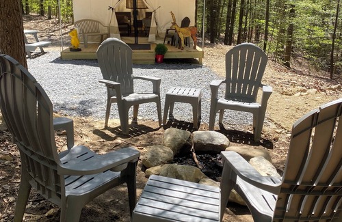 Middle Grove Location De VR | Dog-friendly glamping near Saratoga with electricity, comfy beds, and access to trails and pond.