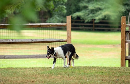 Bensalem Cottage | Dog friendly hideaway in Bucks County near River