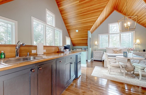 Wolfeboro Appartement | Dog-friendly studio with kitchenette, W/D, firepit, & hot tub access