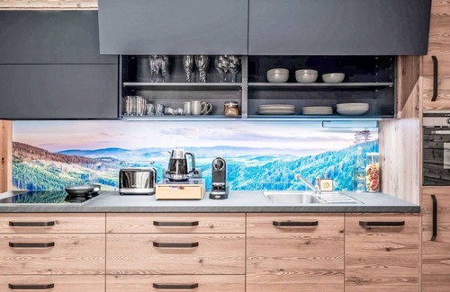 Dolni Morava Appartement | Dolní Morava by Interhome