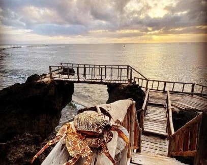 Shimoni Maison | Dolphin Suite 40 m2 in Villa 560 m2, Indian Ocean View