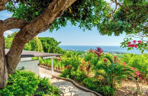 Temukus Maison | Dolphin Villa Lovina