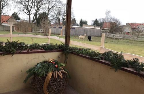 Radisleben Maison | Ferme Domänenhof
