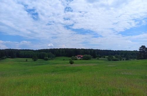 Jedwabno Maison | Dom na Mazurach z Widokiem Na Las