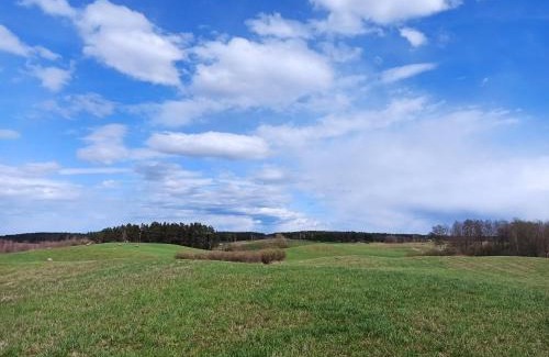 Jedwabno Maison | Dom na Mazurach z Widokiem Na Las