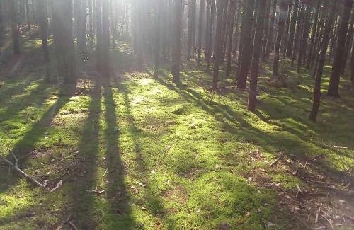 gmina Stoczek Łukowski Maison | Dom na Skraju Lasu