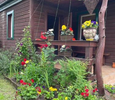 Narewka Maison | Dom na skraju Puszczy Białowieskiej