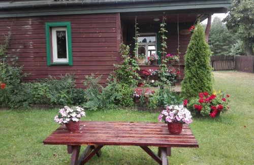 Narewka Maison | Dom na skraju Puszczy Białowieskiej