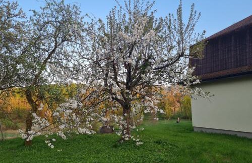 gmina Polanow Maison | Dom Na Wzgórzu