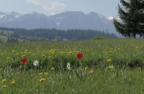 Czerwienne Maison | Dom z widokiem na Tatry