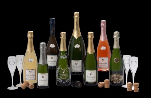 Reuil Lit Et Petit-Déjeuner | Domaine Bacchus