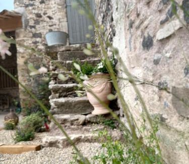 Caux Appartement | Domaine Croix-Maro