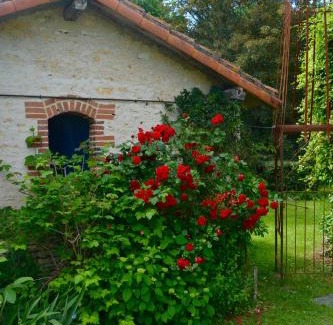 Usson-du-Poitou Maison | Domaine d azac