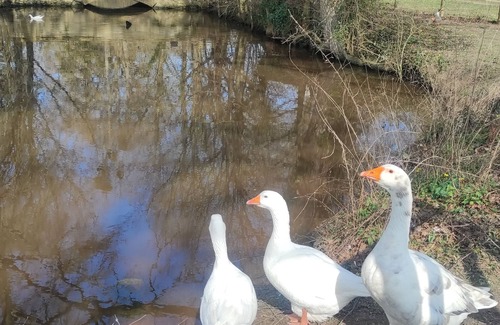 Bazouges-sur-le-Loir Maison | Domaine de Caillebert : Longère classée 3* 9p au calme proche zoo la flèche