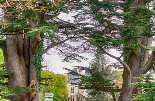 Noyant-de-Touraine Maison | Domaine de Brou