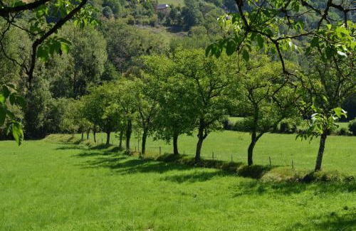 Villecomtal Maison | Domaine de Jouani - Pergola