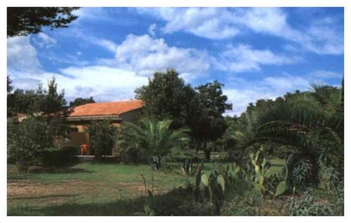 Santa-Lucia-di-Moriani Appartement | Domaine de l'Avidanella