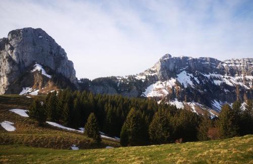 La Roche-sur-Foron Maison | Domaine de la Griffe-maison mitoyenne Cou