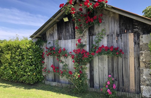 Commequiers Cottage | DOMAINE DE LA MORINIERE - LA MAISONNÉE