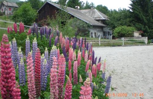 Saint-Leger Maison | Domaine de la Safranière Alpes Françaises