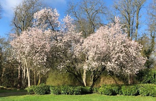 Betz Maison | Domaine de Macque