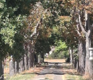 Castelsarrasin Maison | Domaine De Mathabiau