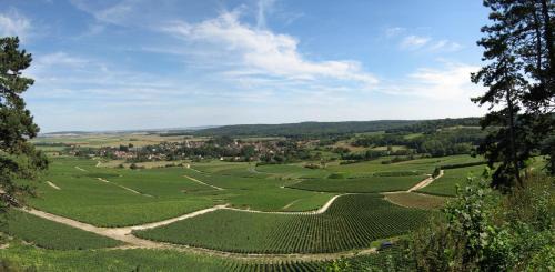 Hermonville Maison | Domaine des Grattières