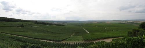 Hermonville Maison | Domaine des Grattières