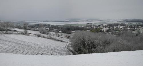 Hermonville Maison | Domaine des Grattières