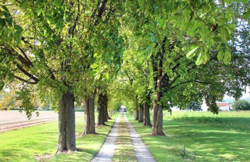 Tourtrol Maison | Domaine des Marronniers