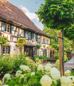 Steinbrunn-le-Bas Lit Et Petit-Déjeuner | Domaine du Kaegy - Hébergements 5 étoiles
