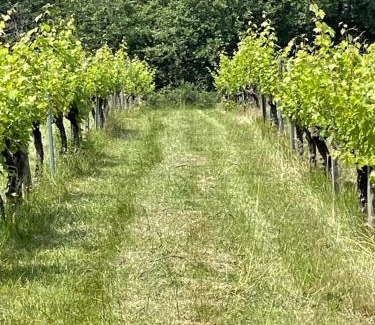 Savignac-de-Duras Maison | Domaine Le Nourrissat
