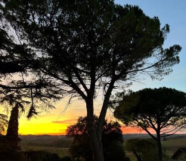 Pomport Maison | Domaine Les Olivoux