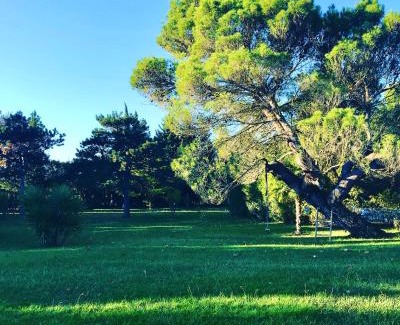 Canohes Lit Et Petit-Déjeuner | DOMAINE LES VINYES