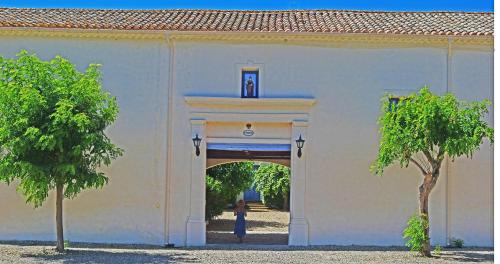 Nizas Maison | Domaine Saint Ferreol