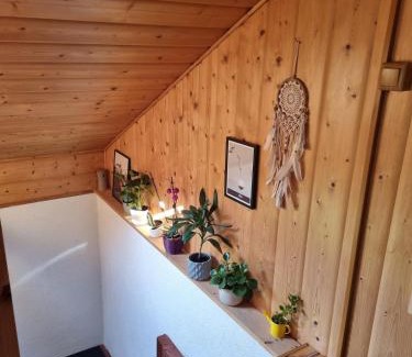 Raspenava Appartement | Domeček u Grizzlyho