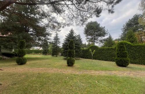 Borkow Appartement | Domek Borków