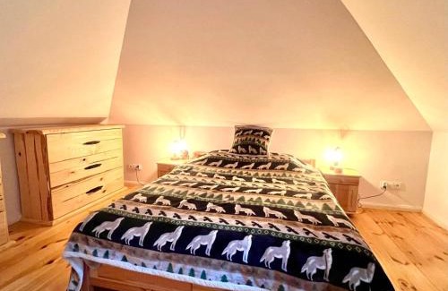 Borkow Appartement | Domek Borków